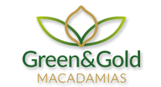 green-gold-macadamias