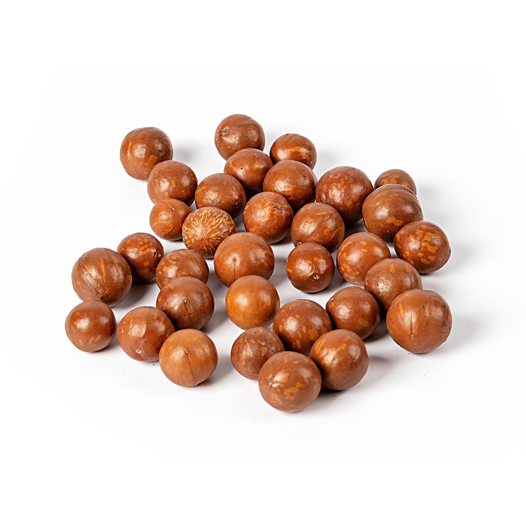 Queennut Macadamia