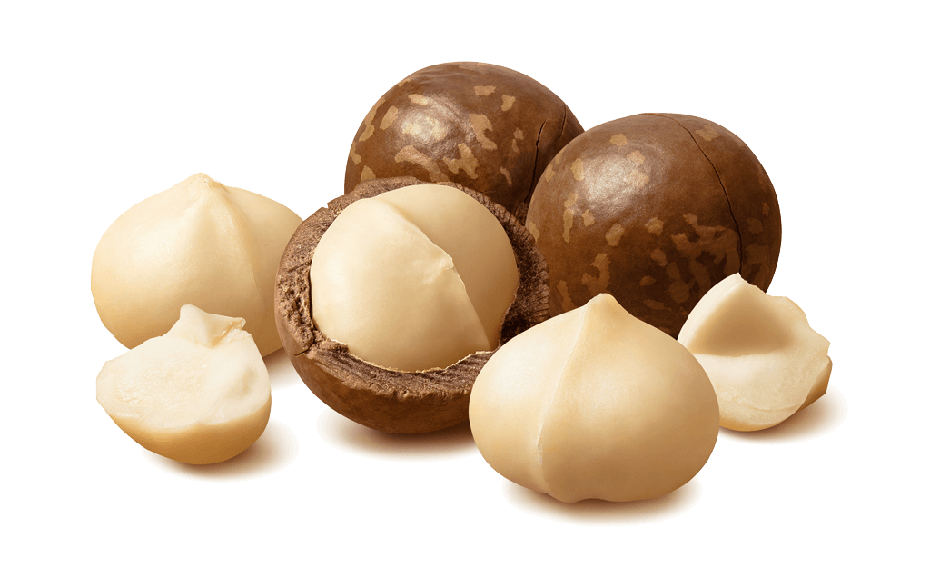 Queennut Macadamia Queennut Macadamia
